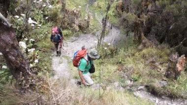 Turistler ve hamallar, Kilimanjaro giderken