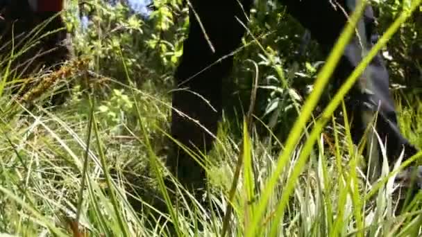 Les touristes marchent le long du chemin dans les jungles d'Afrique .