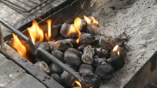 Spalování uhlí bříza — Stock video