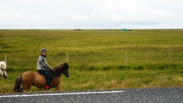 Grupo de jinetes a caballo — Vídeos de Stock