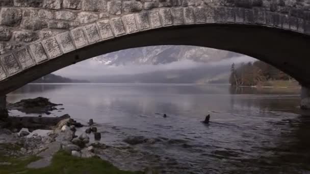 Triglav. Puente. Río Sava Bohinjka. Lago Bohinj. Las montañas. Primera nieve — Vídeo de stock