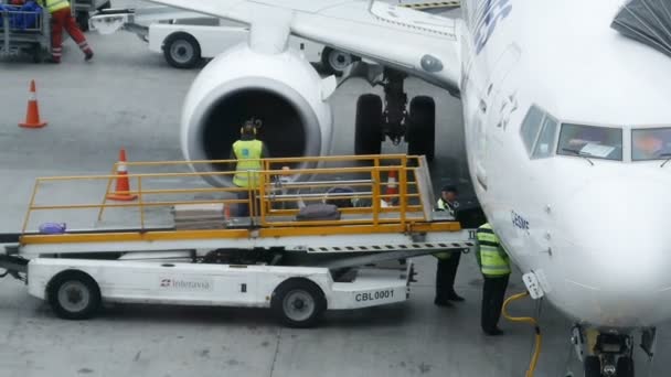 Unloading luggage from a passenger plane — Stock Video