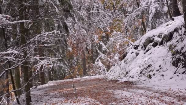 Slovenia. Autumn. The trail in the mountains. First snow — Stock Video