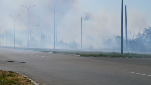 Los coches pasan por el humo espeso — Vídeo de stock