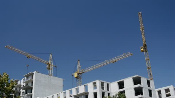 Grues de construction fonctionnant . — Video