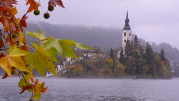 Bled Lake. Eilandkerk. — Stockvideo