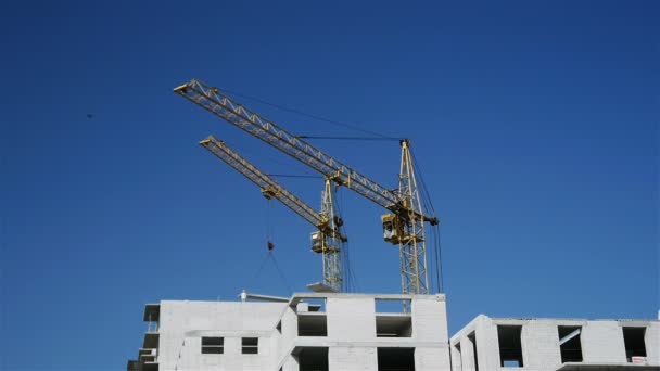 Constructie van een gebouw met meerdere artikelen — Stockvideo