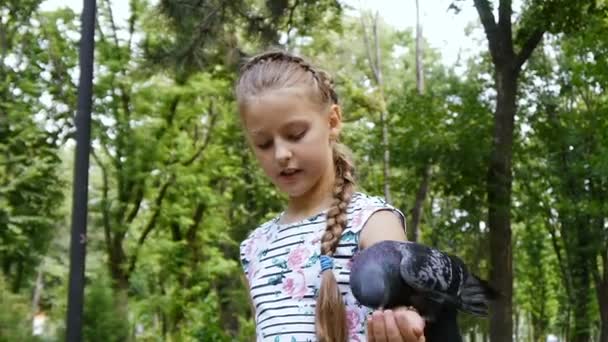 Las palomas se sientan en la mano de las niñas y se alimentan de picotazos — Vídeos de Stock