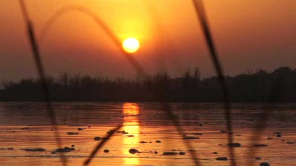 Hermosa puesta de sol en el río — Vídeo de stock