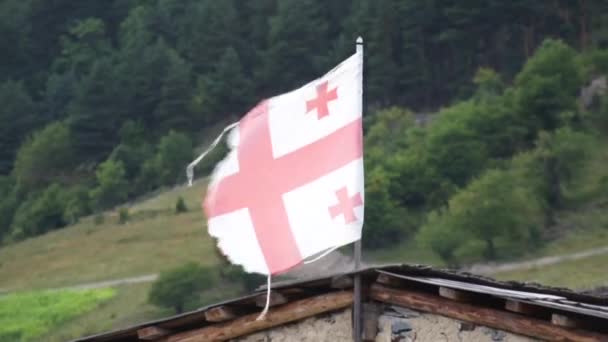 Vlajka státu georgia — Stock video