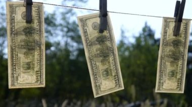 Doları banknot kurutma