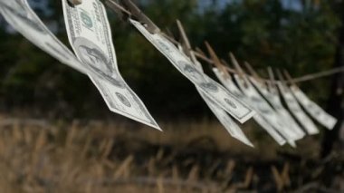 Doları banknot kurutma