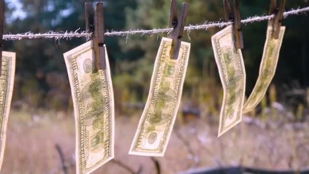 Drying Dollar Banknotes — Stock Video