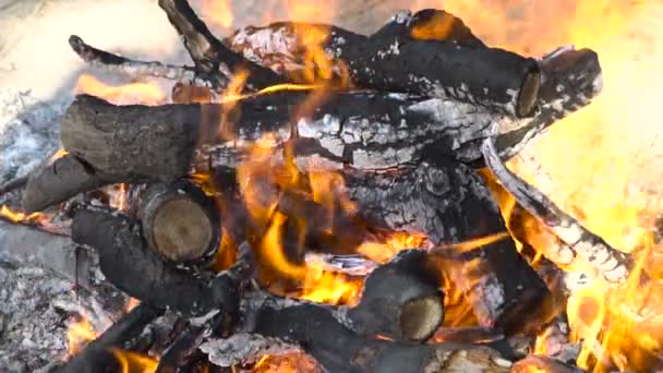 Quemando leña en el fuego — Vídeos de Stock