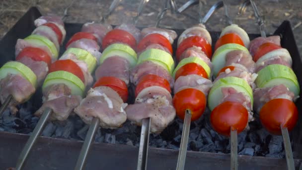 Barbecue con carne alla griglia . — Video Stock