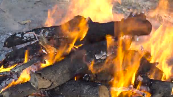 Brinnande trä i elden — Stockvideo