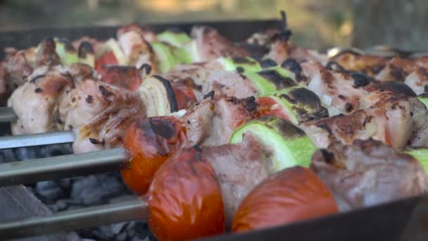 Carne y verduras a la parrilla sobre carbón vegetal — Vídeo de stock