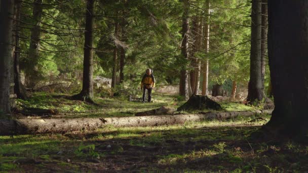 Ein Mann mit Rucksack reist durch einen wunderschönen Wald — Stockvideo
