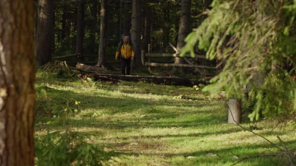 Een man met een rugzak reist door het bos — Stockvideo