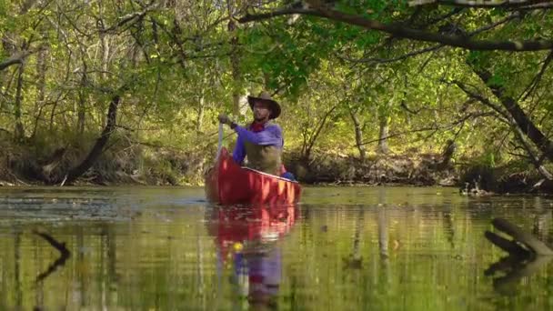 Cowboy egy kenuban lebeg a folyón az erdőben — Stock videók