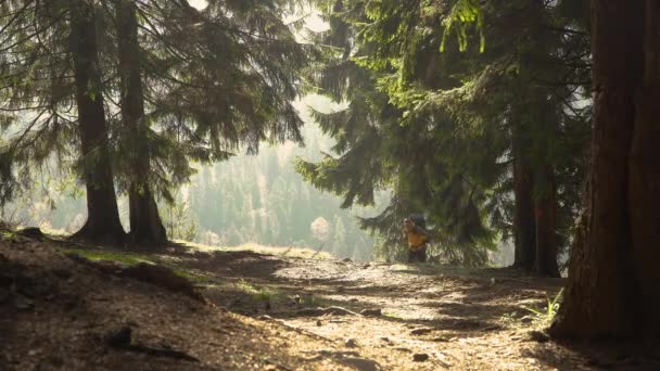 가방을 든 남자가 아름다운 숲 속을 여행 한다 — 비디오