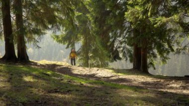 Sırt çantalı bir adam güzel bir ormanda seyahat eder.