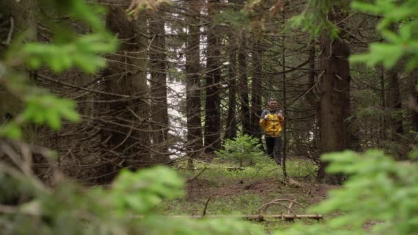 Um homem caminha numa floresta mística — Vídeo de Stock