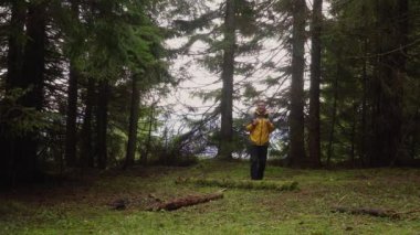 Sırt çantalı bir adam güzel bir ormanda seyahat eder.