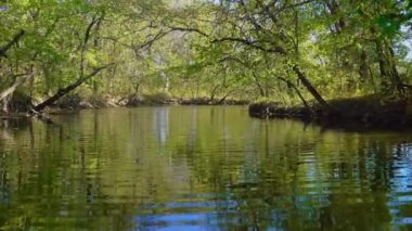 Ormanda, nehrin üzerinde uçarken