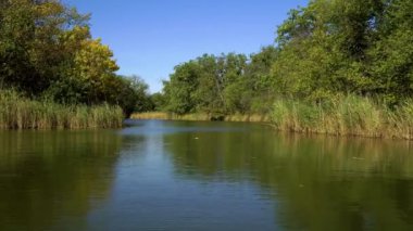 Ormanda, nehrin üzerinde uçarken