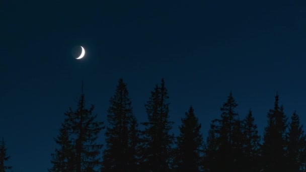 Timelapse di luna in movimento nel cielo notturno — Video Stock