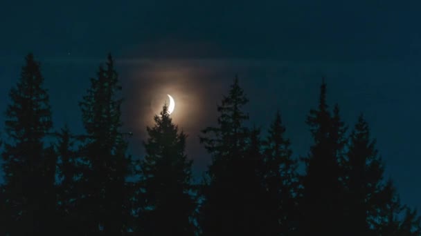 Timelapse рухомого Місяця в нічному небі — стокове відео