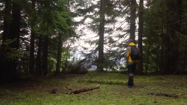 신비 한 숲 속을 걷는 남자 — 비디오