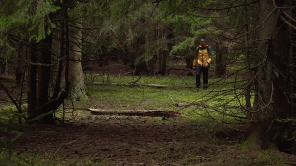 Un homme avec un sac à dos voyage dans une belle forêt — Video