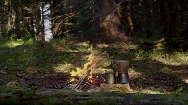 Kávéfőző és bögre tűz mellett az erdőben — Stock videók