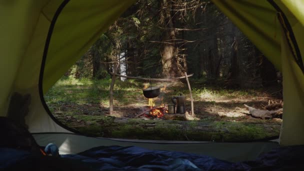 Camp in einem schönen Wald — Stockvideo