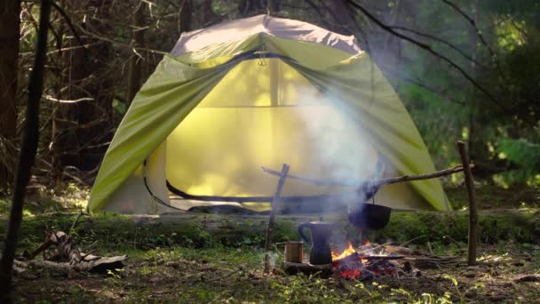 Camp in a beautiful forest — Stock Video