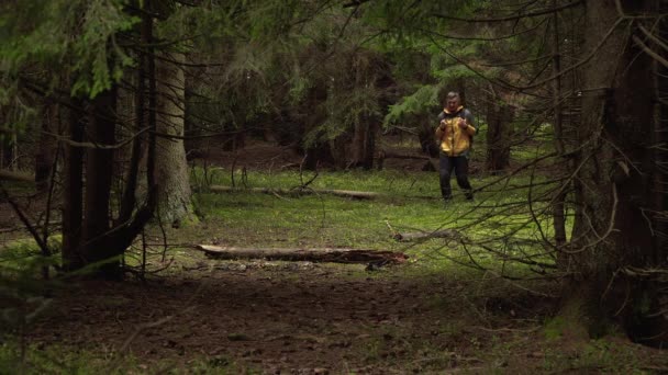Een man met een rugzak reist door een prachtig bos — Stockvideo
