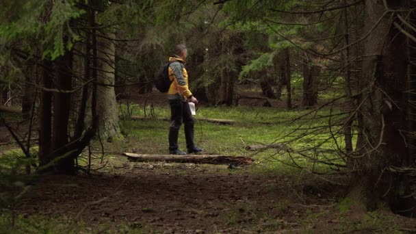 Een man met een rugzak reist door een prachtig bos — Stockvideo