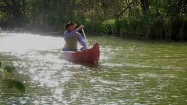 Koboi di kano mengapung di sungai di hutan — Stok Video