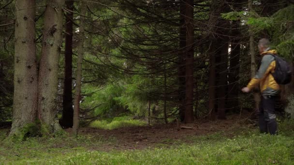 Um homem com uma mochila viaja através de uma bela floresta — Vídeo de Stock