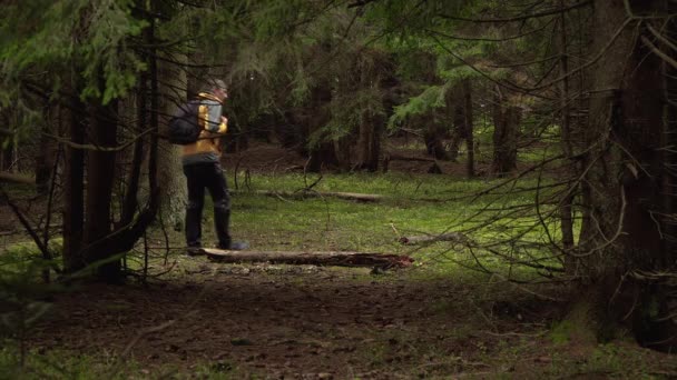 Egy férfi hátizsákkal utazgat egy gyönyörű erdőben. — Stock videók