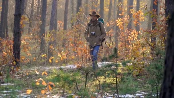 가방을 들고 카메라를 든 남자가 가을 숲 속을 걸어 다닌다 — 비디오