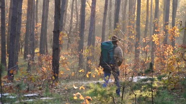 Un hombre con una mochila y una cámara camina en el bosque de otoño — Vídeo de stock