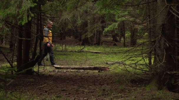 Een man met een rugzak reist door een prachtig bos — Stockvideo