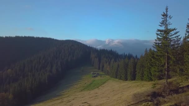 Літаючи над селом пастухів і лісом у горах — стокове відео