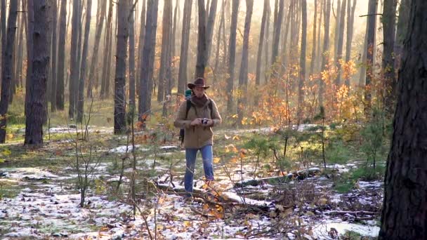 Ein Fotograf mit Rucksack und Kamera spaziert durch den herbstlichen Wald — Stockvideo