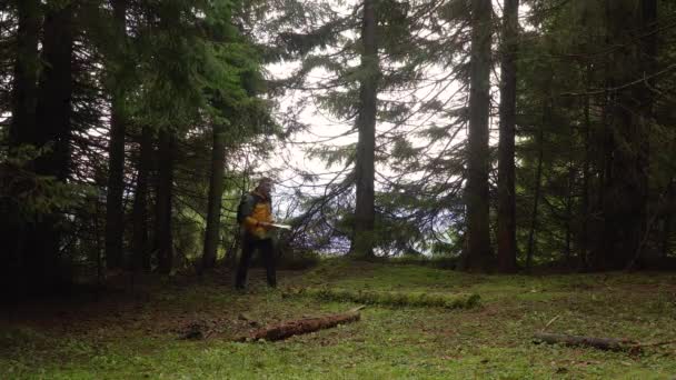 在美丽的森林里带着地图的旅行者 — 图库视频影像