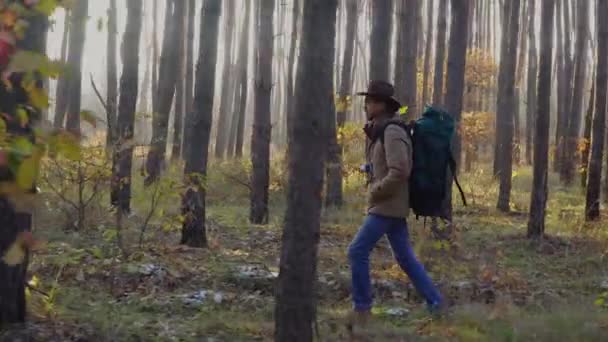 Backpacker with camera walks along a trail in the forest — Stock Video