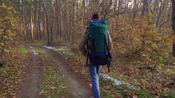 Backpacker wandert auf einem Pfad im Wald — Stockvideo